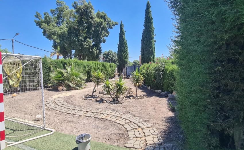 Zona de jardín con palmeras y portería de fútbol