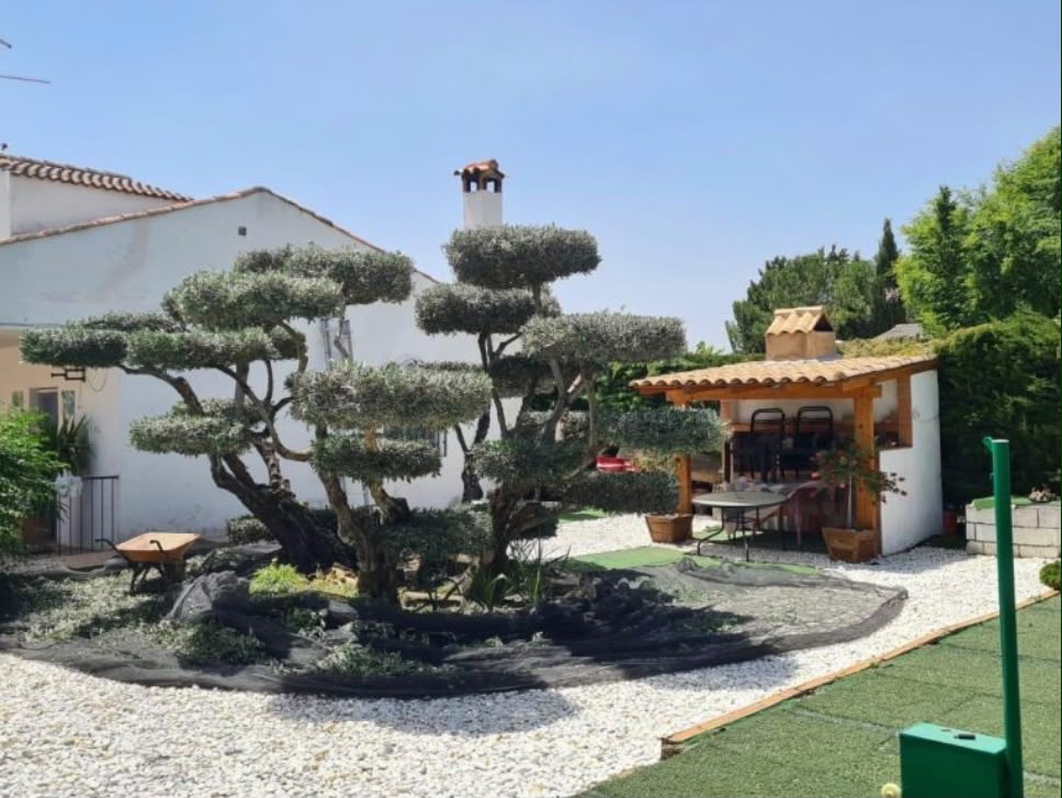 Jardín con olivo centenario y porche con barbacoa